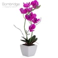thumbnail image 5 of Bornbridge Artificial Potted Orchid with Long Stem (2 Pack, Violet - Medium), 5 of 5