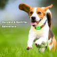 thumbnail image 5 of Clavya Anti Flea Tick Collar for Dog Cat Dog Anti-parasitic Adjustable Collar for Large Dog Puppy Cat Dog Accessories, 5 of 5