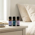 thumbnail image 6 of Plant Therapy Relaxation Synergy Set 100% Pure, Undiluted, Natural Aromatherapy, 6 of 9