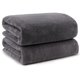 thumbnail image 1 of Toallas de baño Orighty de microfibra, 2 unidades, 70 x 140 cm, color gris, 1 of 7