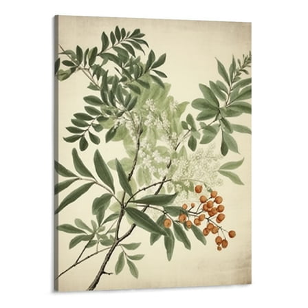 Shiartex Vintage Botanical Wall Art Prints, Neutral Botanical Plant Prints Retro Botany Green Leaves Shrub Canvas Wall Art Pictures,Aesthetic for Bedroom, Living Room, Gallery, Home Office 16x20 Inch