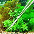 thumbnail image 3 of Aquarium Terrarium Scissors Planting Scissors, Stainless Steel Aquarium Tank Aquatic Plant Scissors Tools for Fish Tank Plants, 3 of 9
