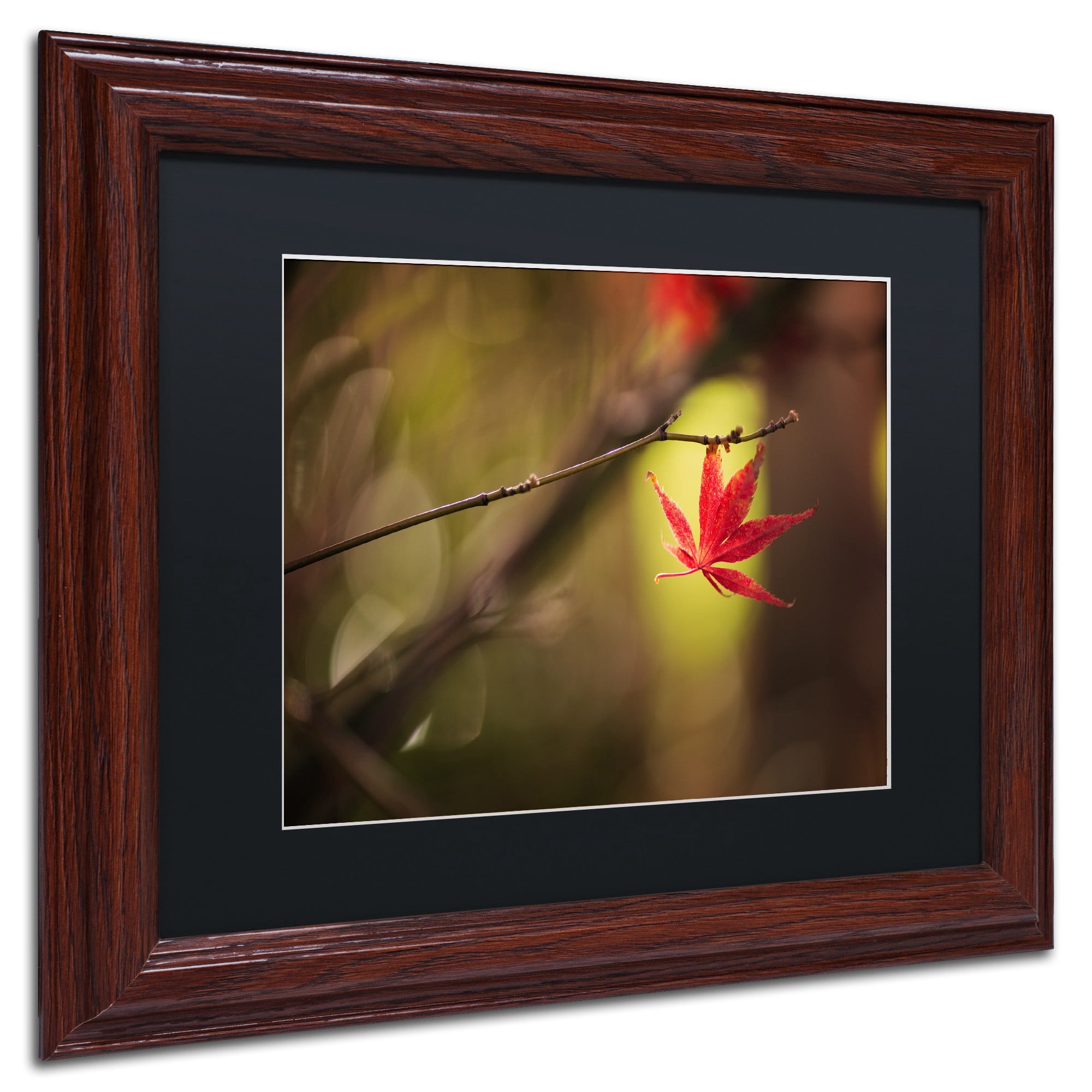Trademark Fine Art "Don't Give Up" Canvas Art by Philippe Sainte-Laudy Black Matte, Wood Frame