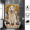 thumbnail image 4 of Coolnut Bath Shower Curtain Liners 72"x72", Golden Retriever Standing by a Rural Fence Polyester Waterproof with 12 Curtain Hooks Bathroom Accessories Decoration, 4 of 6