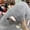 Gray, variant on Stuffed Animal Fake Rat, 13.78in Soft Realistic Pranks Spoof Toy, for Birthday Surprise Home Decor Party Favors, Brown