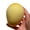 Mango, variant on SharkTRUE Rising Watermelon Relieve Stress Cute Squish For Teens And Adults Wet and Soft, Vent Toys
