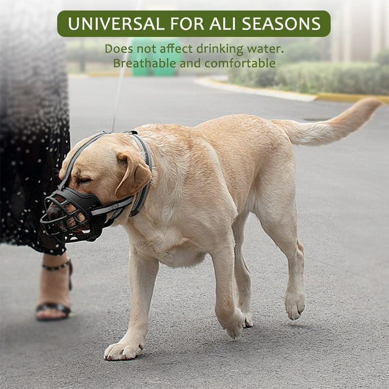 Pet valu dog muzzle discount