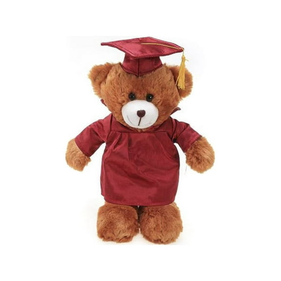 Made by Aliens Personalized Brown Bear Stuffed Animal Plush Toy – Perfect Gift for Graduation Name or Your School Logo on Gown, Best for Any Grad School Kids 12 Inches