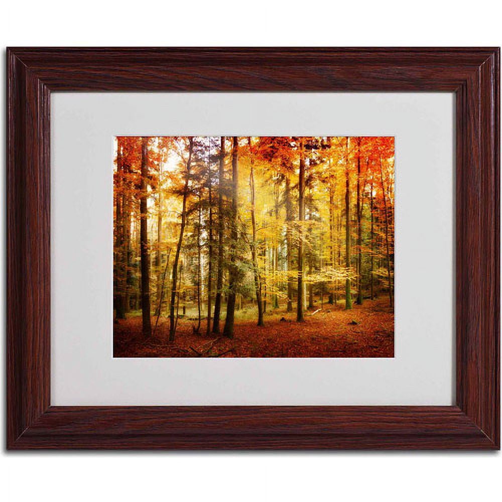 Trademark Fine Art "Fall Color" Canvas Art by Philippe Sainte-Laudy, Wood Frame