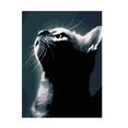 thumbnail image 2 of de pintura de gato por número, pintura al acrílica de bricolaje sobre tela para decoraciones artísticas para Macarena Pintura por kit de números, 2 of 8