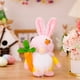 thumbnail image 1 of Muñeco de duende enano con orejas de conejo de Pascua | Figura de elfo anciano sin rostro | Bonito regalo de Pascua | Adorno para escritorio, estantería y mesa | Trae suerte, riqueza y salud, 1 of 3