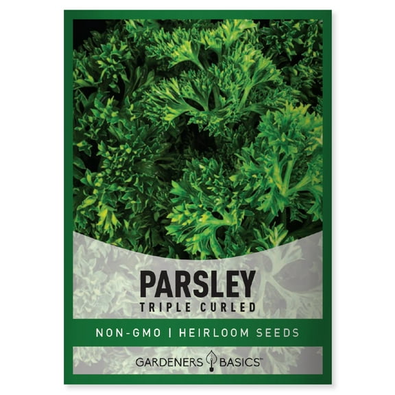 Triple Curled Parsley Seeds