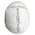 thumbnail image 5 of GIANTmicrobes Skull Plush- Adorably Realistic Plush Human Skull Educational Biology Gift Excellent Gift for Students, Doctors, Nurses, Teachers, Scientists, and Any Lover of Heads and Bones, 5 of 7