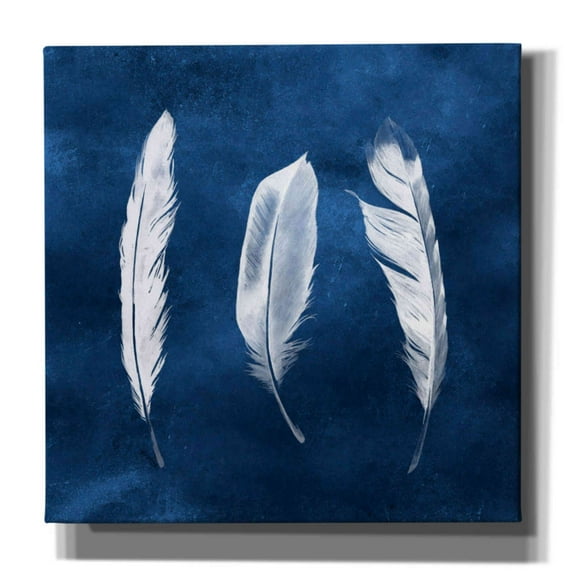Epic Graffiti 'Cyanotype Feathers II' by Grace Popp, Canvas Wall Art, 12"x12"