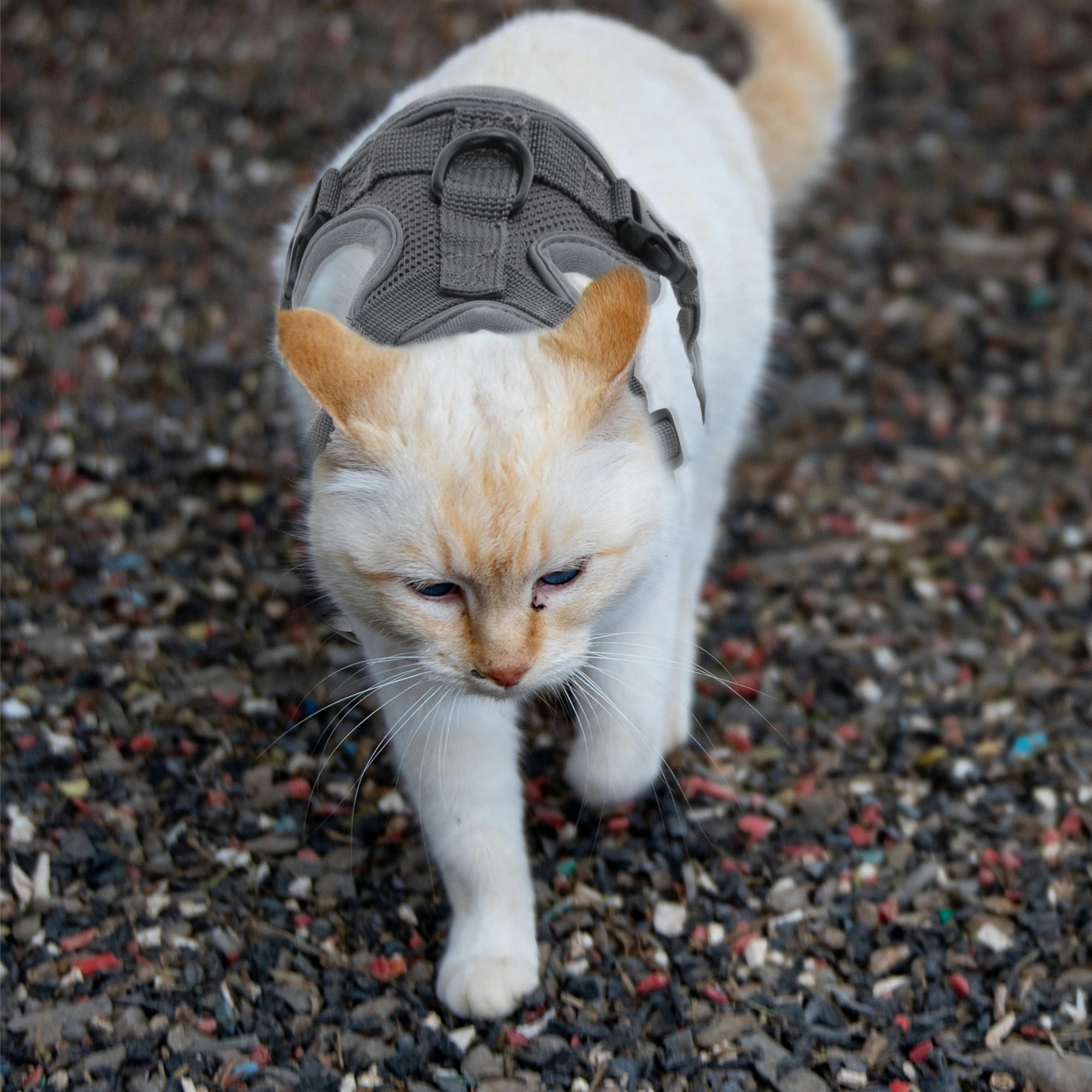 Unique Bargains Adjustable Cat Harness Leash Set With Reflective Strips Gray M