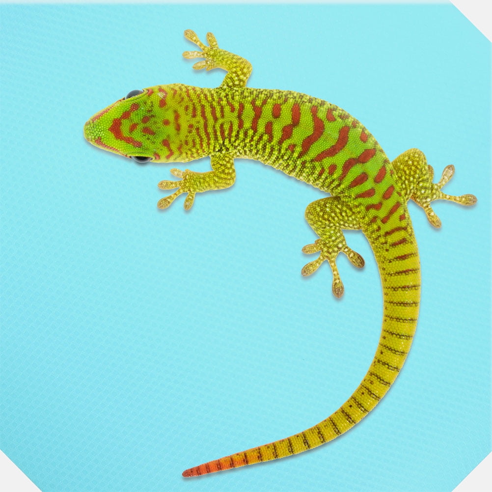 GETAJGHSD Reptile Carpet Eva Terrarium Bedding Sky-Blue Easy Cleanup for Decoration