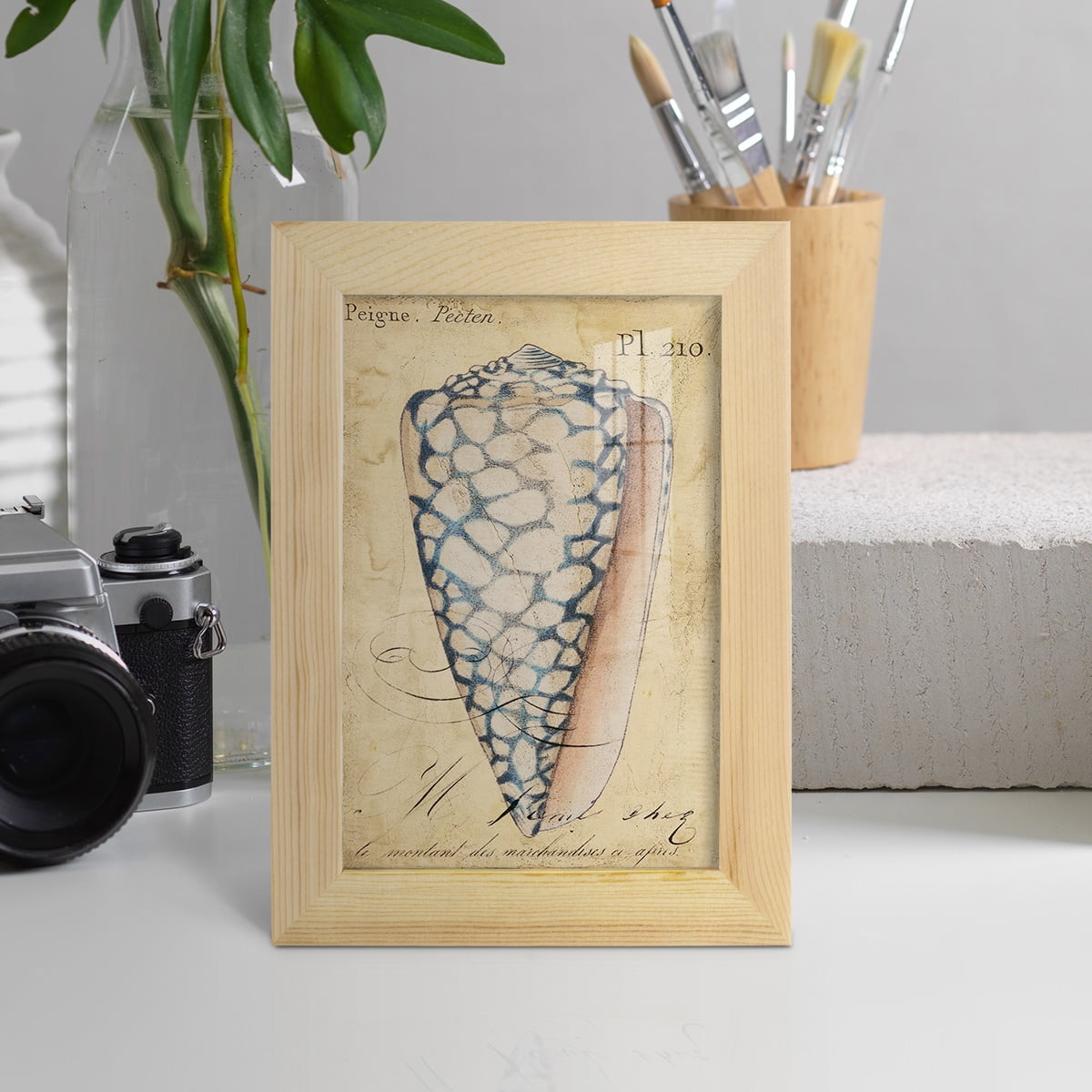 Seashell Ephemera IV - Framed Print w/glass - Natural Wood