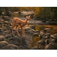 thumbnail image 2 of Goebel, Wilhelm 24x19 White Modern Wood Framed Museum Art Print Titled - Waters Edge - Fawn, 2 of 4