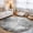 Black, Gray, White, variant on Rectangle Area Rugs 2 x 3 Ft, Shabby Sage Green Non-Slip Residential Carpet, Oil Painting Vintage Art Green White Indoor Crawling Mats Runner Rugs for Living Room/Dining Room/Bedroom