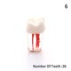 thumbnail image 1 of Modelo de diente para enseñanza Oral Dental resina dientes resina endodoncia Dental modelo de diente con canal de raíz de color y práctica de pulpa Gao Jinjia LED, 1 of 2