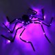 thumbnail image 4 of Decoraciones de Halloween Yuarrent Araña gigante duradera 150cm Control por voz, 4 of 6
