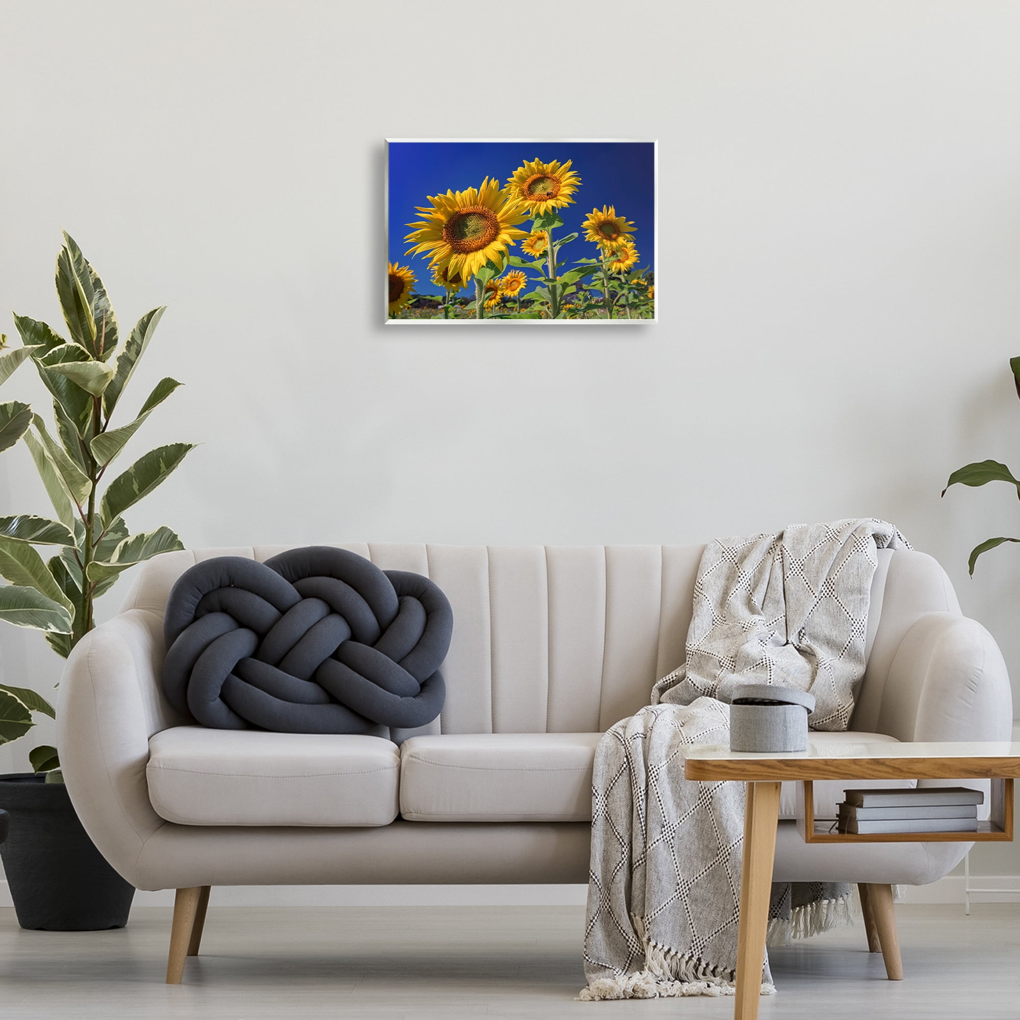 Stupell Industries Bright Sunflowers with Blue Sky Plants & Flowers Photography Unframed Art Print Wall Art, 19 x 13