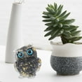 thumbnail image 5 of FRCOLOR  2 Pcs Crystal Animals Owl Ornament Garden Figurine Decorations, 5 of 8