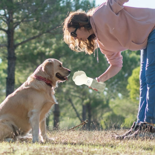 Portable Pet Water Dispenser for Dogs Cats Outdoor Travel Leak Proof Drinking Container with 580ml Capacity for