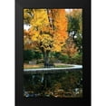 thumbnail image 2 of Putman, Tammy 13x18 Black Modern Framed Museum Art Print Titled - Fall in the Park, 2 of 5