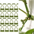 thumbnail image 1 of Clips de fijación para plantas trepadoras de pared, material ABS ecológico para uso en interiores y exteriores, clips de fijación invisibles para enredaderas de pared, fijador de plantas autoadhesivo, 1 of 5
