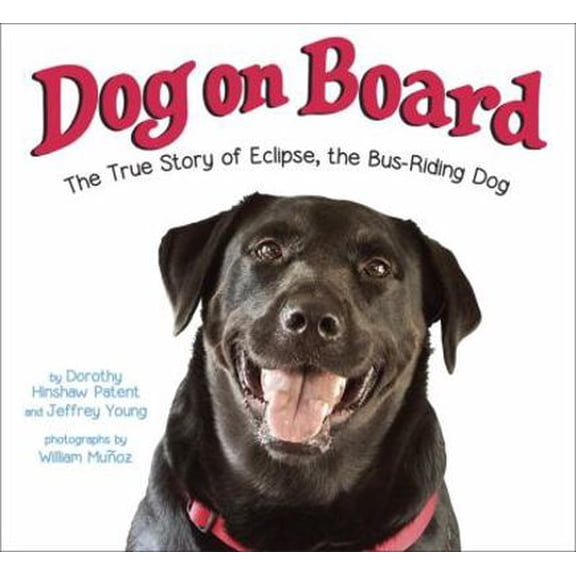 Pre-Owned Dog on Board: The True Story of Eclipse, the Bus-Riding Dog (Hardcover) 0399549889 9780399549885