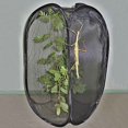thumbnail image 2 of Portable Collapsible Insect and Butterfly Habitat cage Terrarium Open Butterfly Habitat Cage Housing Enclosure 40X40X60CM, 2 of 6