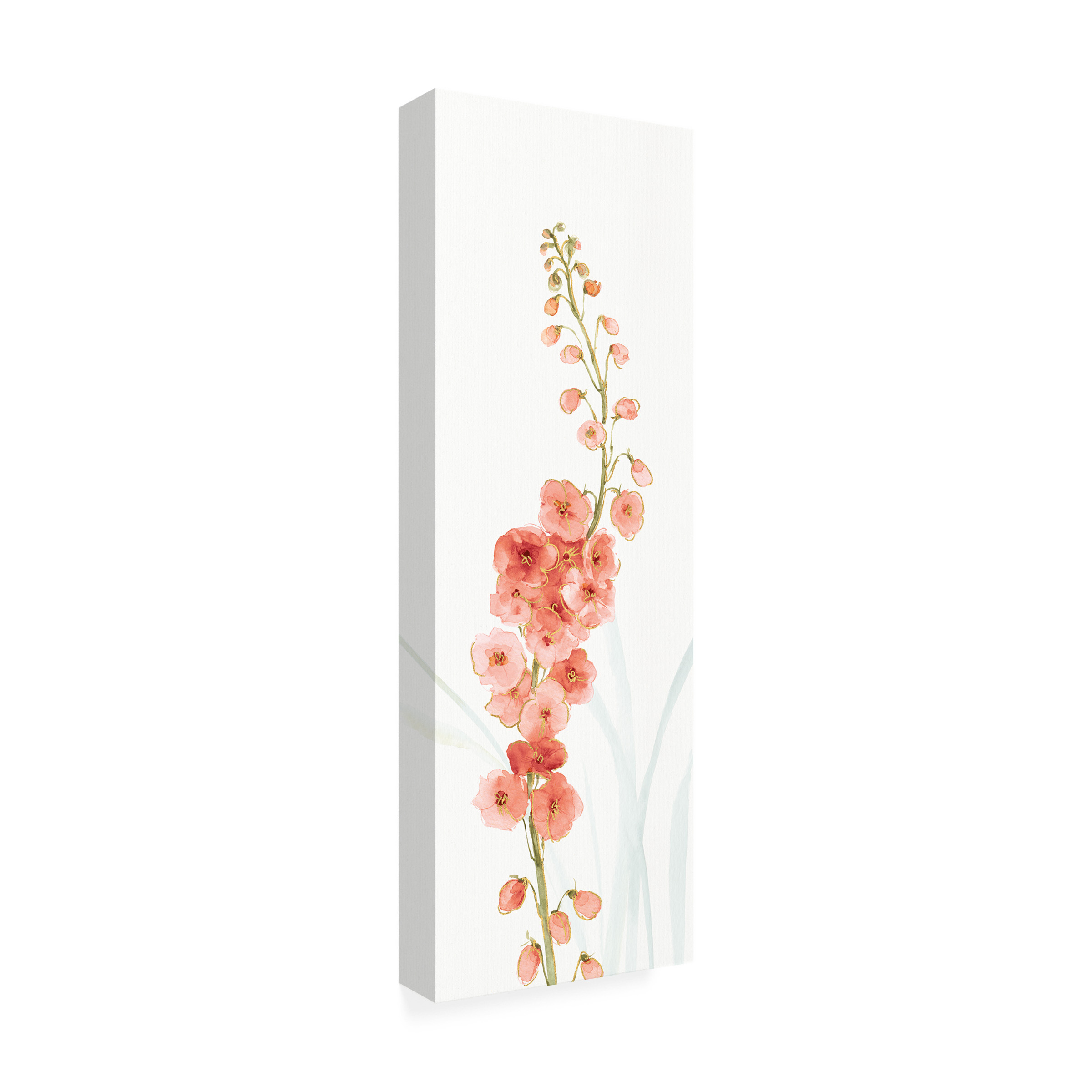 Trademark Fine Art Lisa Audit Rainbow Seeds Flowers VII Coral Canvas Wall Art - 10x32