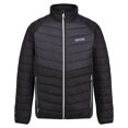 thumbnail image 1 of Regatta - Chaqueta Halton IV de Acolchado Caminar para Hombre (Negro, Ceniza) Regatta UTRG5334_blackash, 1 of 1