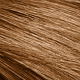 7.5 Caramel Blonde