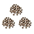 thumbnail image 1 of 300 Piezas de Bellotas Naturales Casquillos de Bellotas Reales Caseros Caseros de Bellota Navidad de Bricolaje, 1 of 4