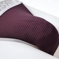 thumbnail image 4 of TANBOM Men's Bulge Enhancing Briefs Mesh Nylon Underwear Brown L 1-Pack, 4 of 6