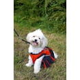 thumbnail image 4 of Pets First College Syracuse Orange Cheerleader, 3 Sizes Pet Dress Available. Licensed Dog Outfit, 4 of 6