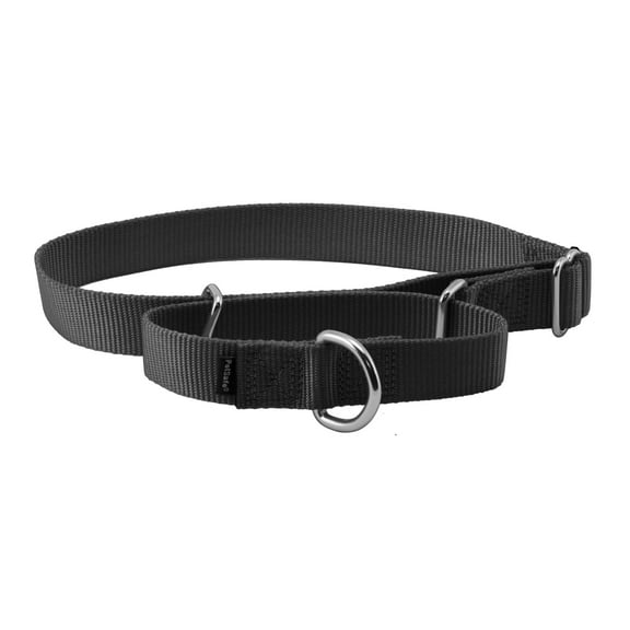 PetSafe Martingale Dog Collar, Greater control and reduce the risk of slipping out, Large, 1 in, Black