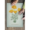 thumbnail image 3 of California, Vintage Flora, State Series, California Poppy (19x27 inches, Premium 500 Piece Jigsaw Puzzle for Adults and Family, Made in USA), 3 of 4