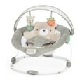 thumbnail image 1 of InLighten Bouncer™, 1 of 5