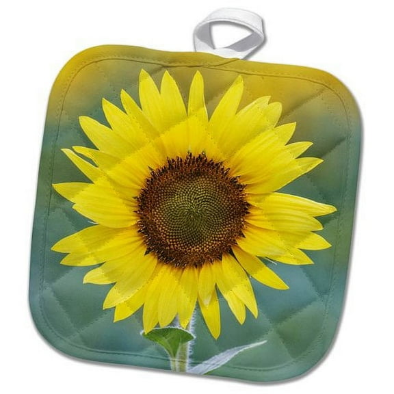 3dRose, USA, California, Napa Valley. Close up of sunflower., 8x8 Potholder