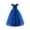 Blue, variant on Princess Costume Kids Witch Halloween Costumes for Girls Princess Fancy Dress up Birthday Party Cosplay Sequins Tutu Dresses Pink 12-13 Years