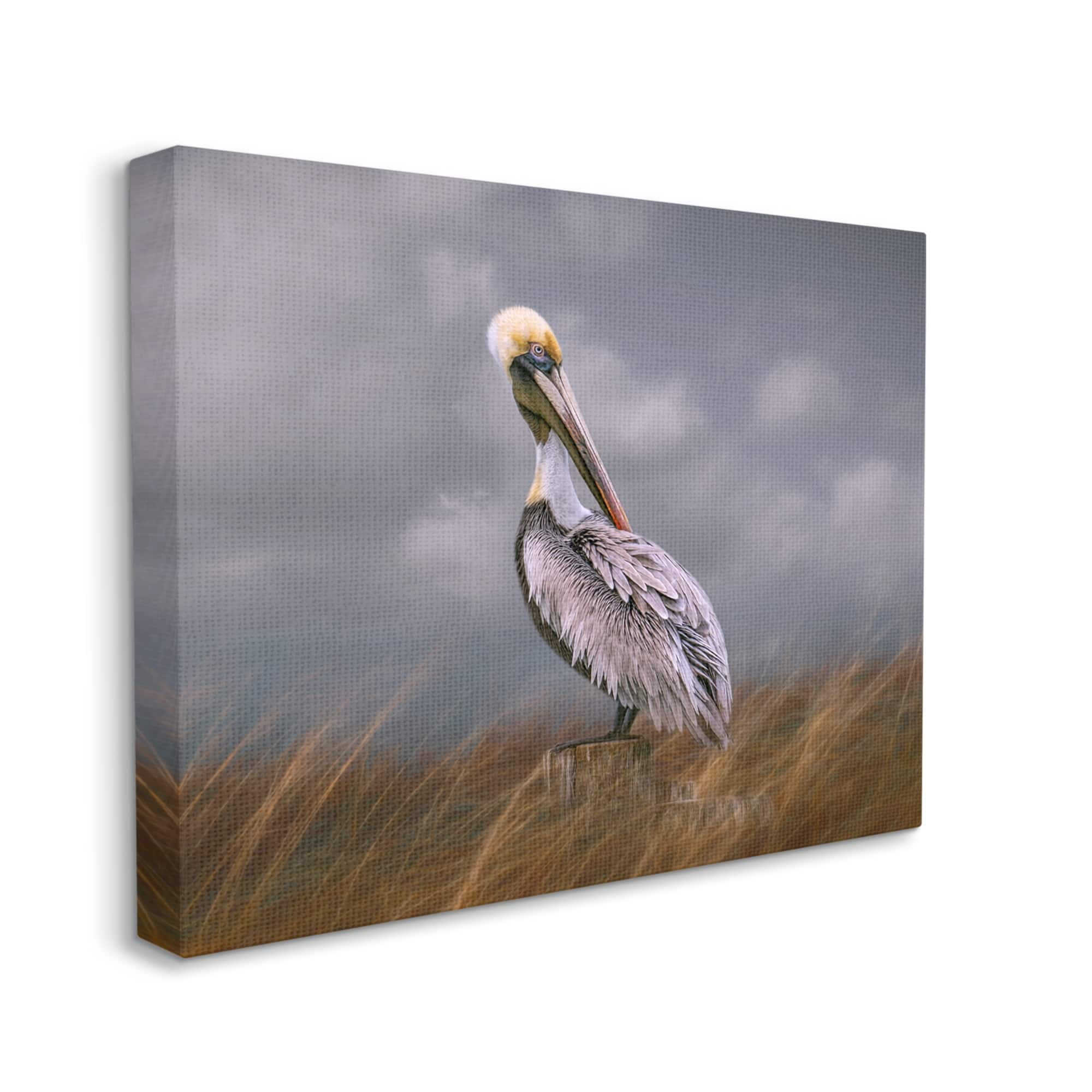Stupell Wildlife Pelican Bird Cloudy Sky Animals & Insects Photography Gallery Wrapped Canvas Print Wall Art