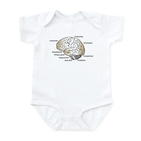 

CafePress - Brain Section Infant Bodysuit - Baby Light Bodysuit Size Newborn - 24 Months