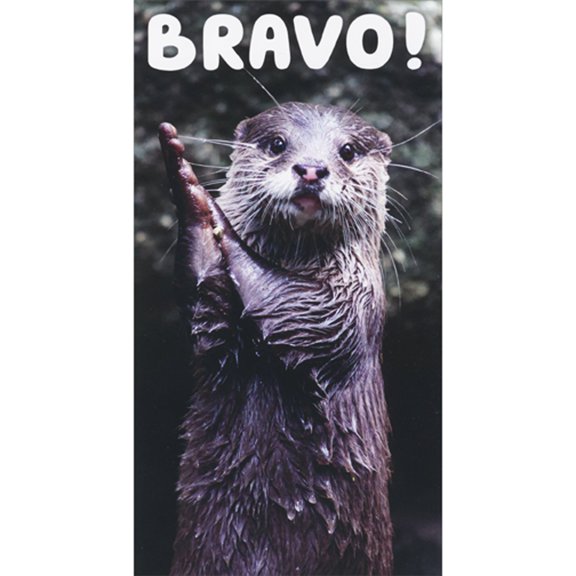 RSVP Bravo: Otter Clapping Photo Money Holder / Gift Card Holder Graduation Congratulations Card