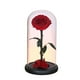 thumbnail image 3 of Rosa en cúpula de cristal, decoración para San Valentín, regalos para San Valentín Estilo B, 3 of 9