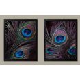 thumbnail image 1 of Gorgeous Blue Brown and Green Peacock Feather Photograph Print Set; Two 11x14 Black Framed Prints. Blue/Green/Brown, 1 of 1