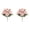 Light Pink, variant on FXMLRLK Peonies Artificial Flowers,2 Bouquets 5 Heads Silk Peonies Flowers Fake Peonies Artificial Flowers Peonies Bouquet for Centerpiece Table Wedding Party Home Decor, Hot Pink