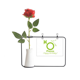 thumbnail image 1 of Piscis estádestinado al cumpleaños. Botella de decoración de jarrones colgantes de flores rosas artificiales, 1 of 3